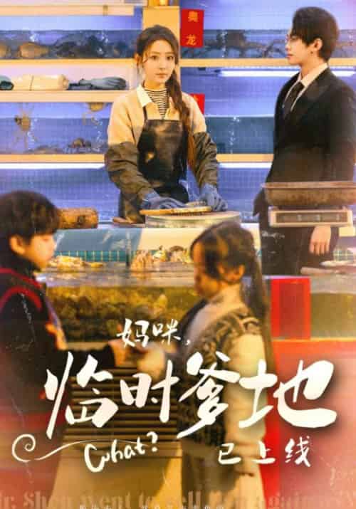 妈咪，临时爸比已上线（79集全）沈清河＆宋听-初遇资源网