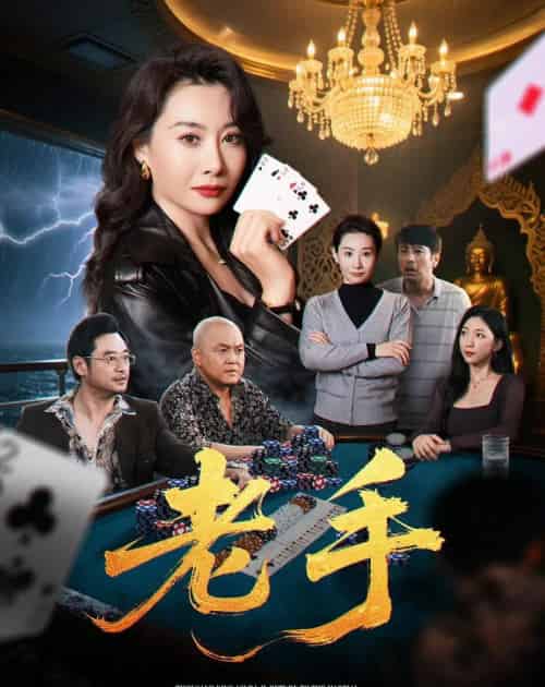 老手（36集）王圻嘉＆袁珉-初遇资源网