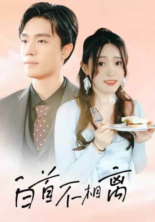 白首不相离（100集全）顾铭修＆夏沫染-初遇资源网