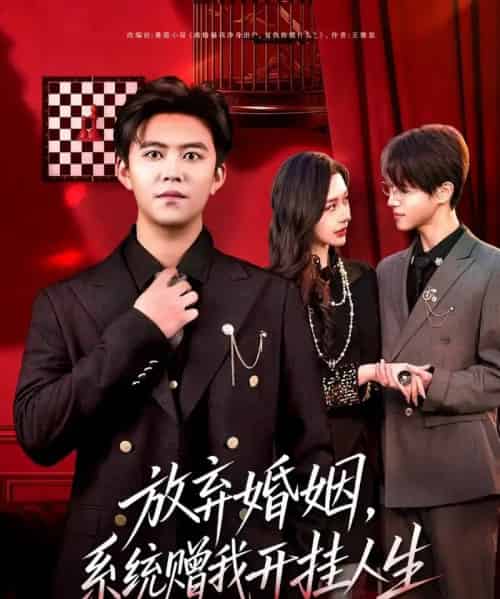放弃婚姻，系统赠我开挂人生（60集全）王依海＆张子唯-初遇资源网