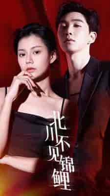 北川不见锦鲤（72集）-初遇资源网