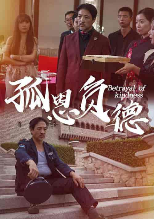 孤恩负德（60集全）-初遇资源网