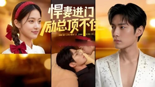 悍妻进门励总顶不住1080P 悍妻进门励总顶不住1080P