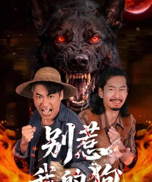 别惹我的狗（40集全）高毅＆张斯予＆陈鸿运-初遇资源网