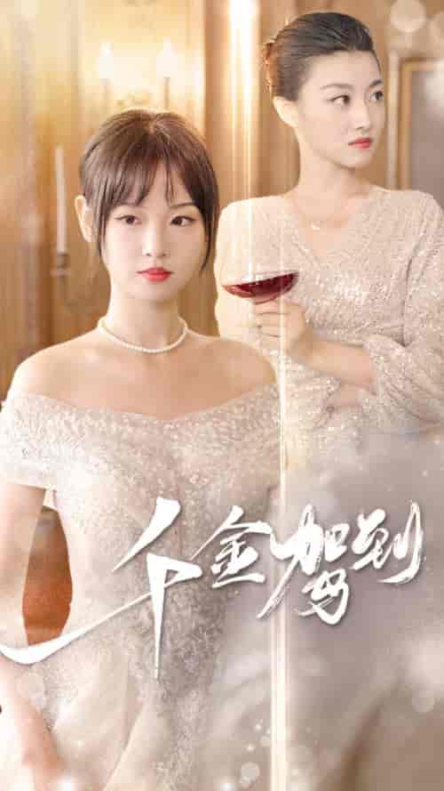 千金驾到（80集）-初遇资源网