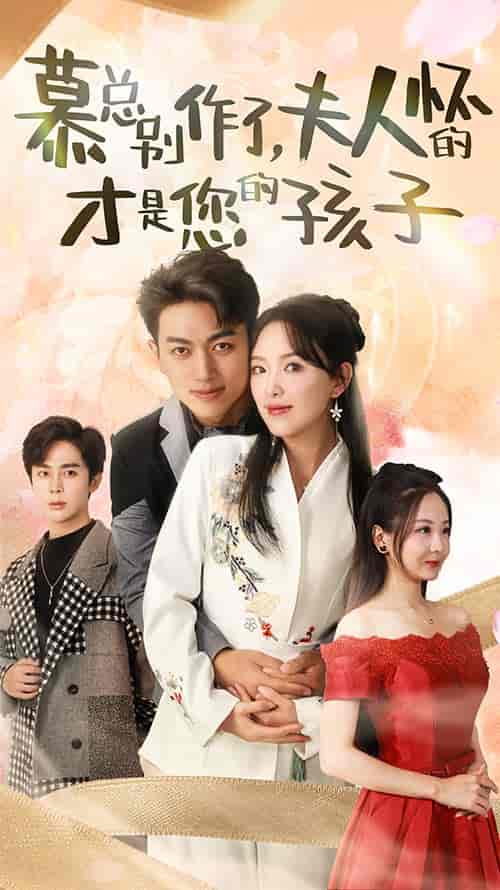 慕总别作了,夫人怀的才是您的孩子(90集)-初遇资源网