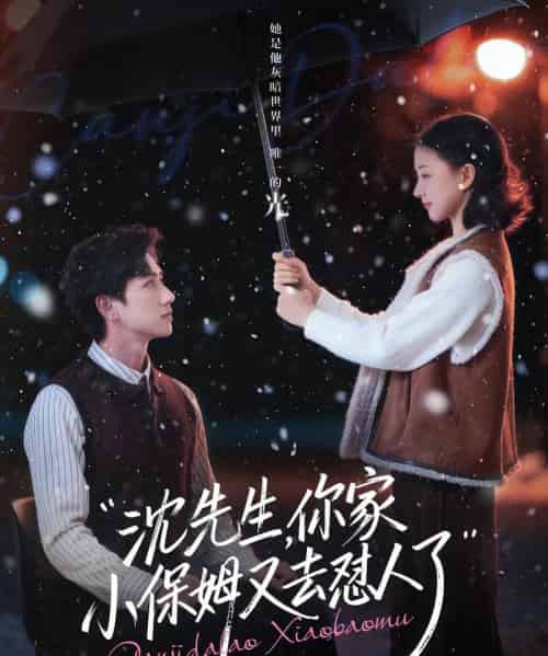 沈先生,你家小保姆又去怼人了(82集全)陈政阳&廖银玥-初遇资源网