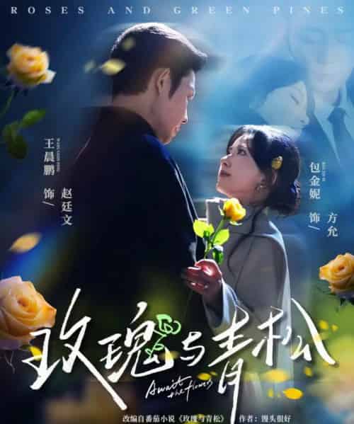 玫瑰与青松(79集全)包金妮&王晨鹏-初遇资源网
