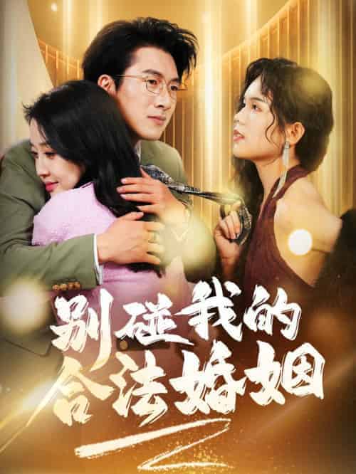 别碰我的合法婚姻&天大地大老婆最大(30集全)-初遇资源网