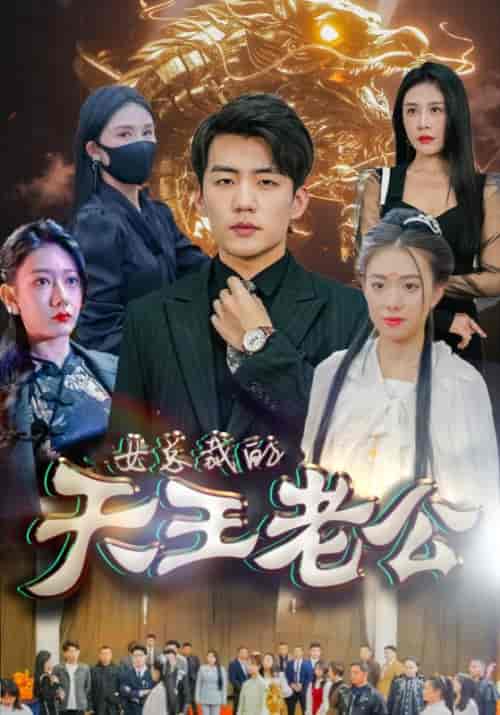 绝世天王&女总裁的天王老公(101集)-初遇资源网