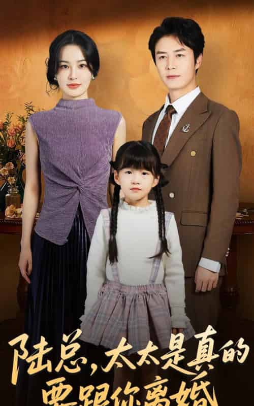 陆总,太太是真的要跟你离婚(52集全)陈聿修&梁婧娴-初遇资源网