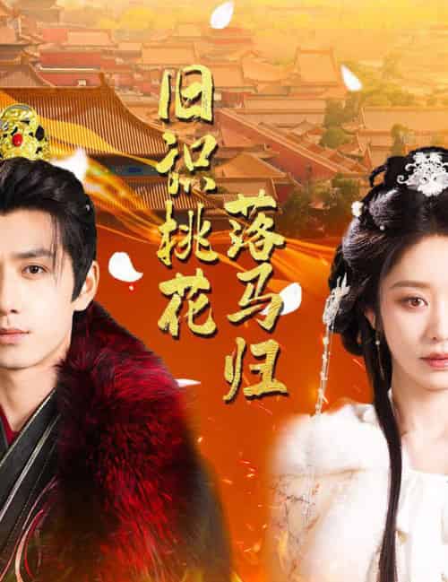 旧识桃花落马归(60集全)陈政阳&戴琪轩-初遇资源网