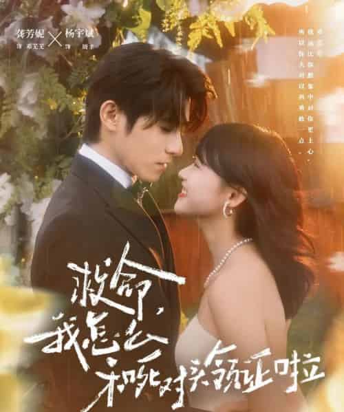 救命，我怎么和死对头领证啦＆周总，夫人她不按套路出牌（82集全）杨宇斌＆龚芳妮-初遇资源网