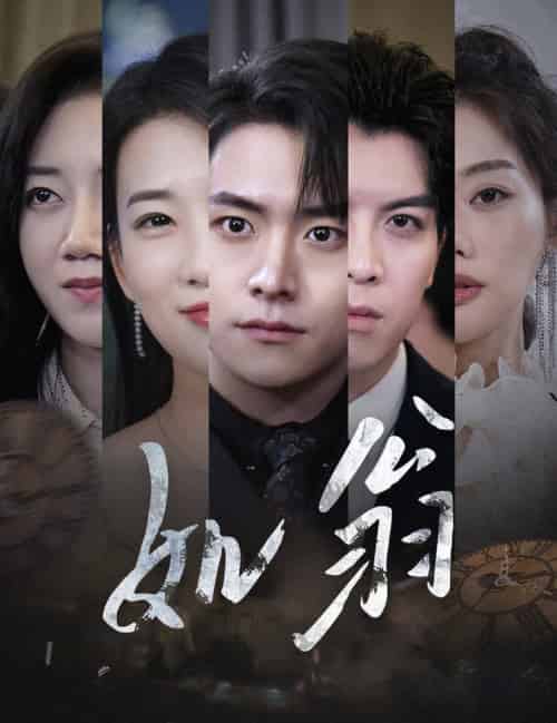 如翁(32集全)-初遇资源网