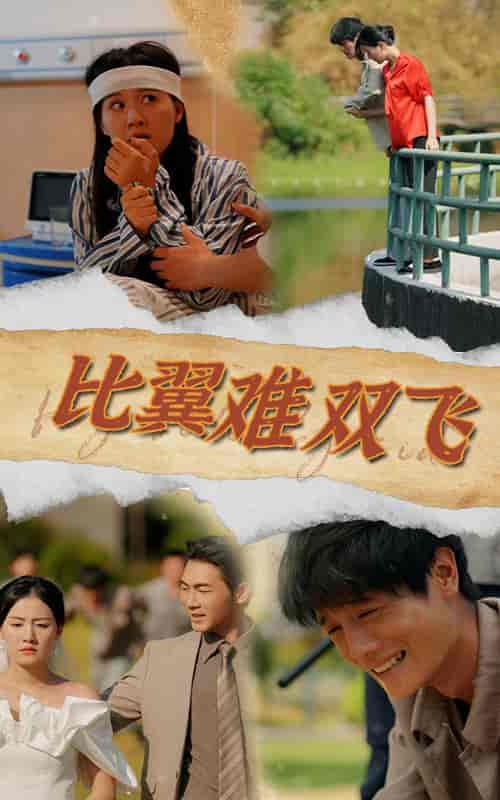 比翼难双飞(30集全)-初遇资源网