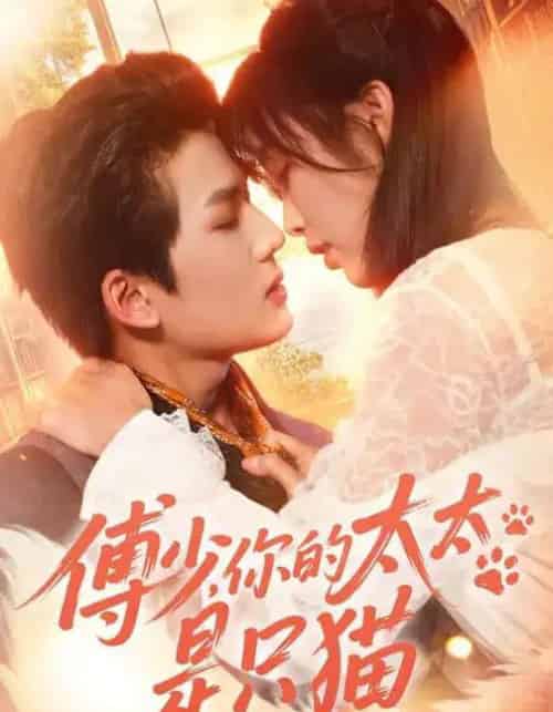 傅少,你的太太是只猫(64集全)赵偲佟&向明-初遇资源网