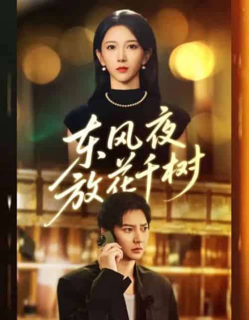 东风夜放花千树＆＆燕西误尽瑶台月（91集全）白羽＆高明君-初遇资源网