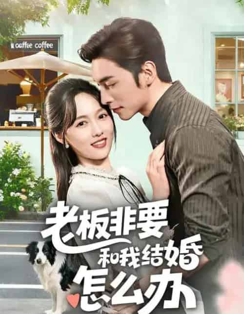 老板非要和我结婚怎么办(50集全)王博&李媛菁-初遇资源网
