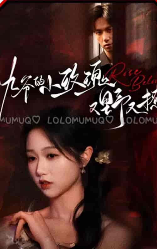 九爷的小玫瑰又野又撩(100集全)岳雨婷 陈政阳-初遇资源网