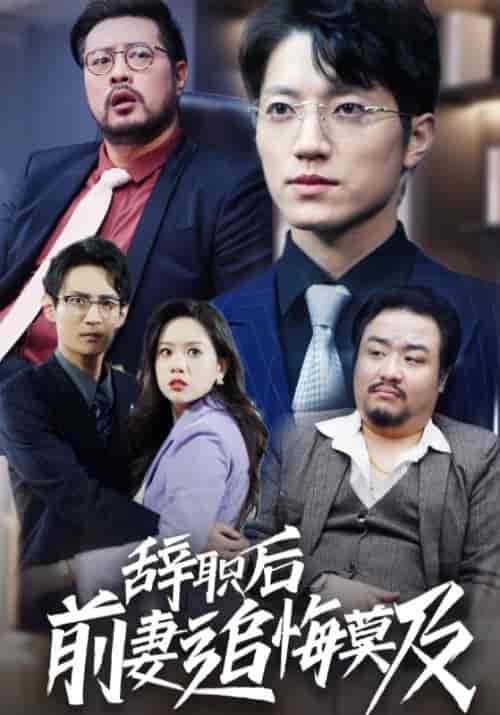 辞职后前妻追悔莫及(30集全)程戌源&郑燕霞-初遇资源网