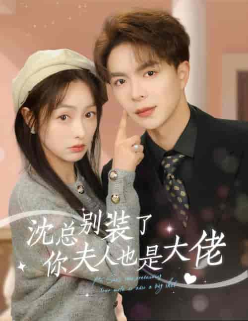 沈总别装了，你夫人也是大佬（86集）-初遇资源网