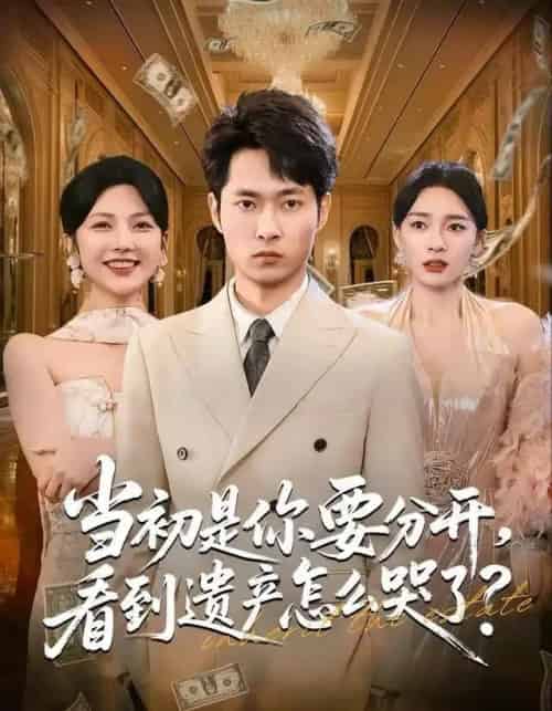 当初是你要分开，看到遗产怎么哭了？（70集全）霍俊全＆金珊＆曹瑶佳-初遇资源网