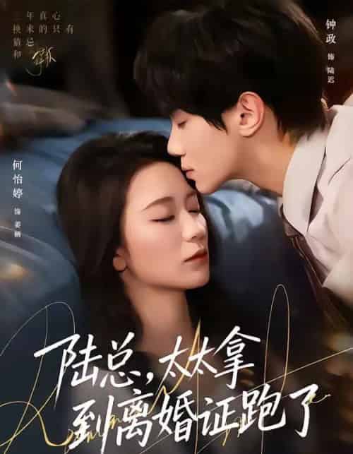 陆总,太太拿到离婚证跑了(86集全)钟政&何依婷-初遇资源网