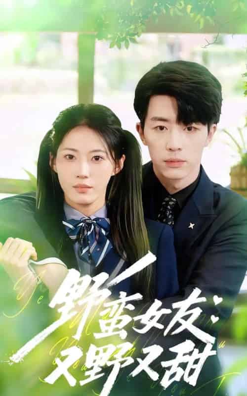 野蛮女友又野又甜(100集全)大宝&王熳熳-初遇资源网