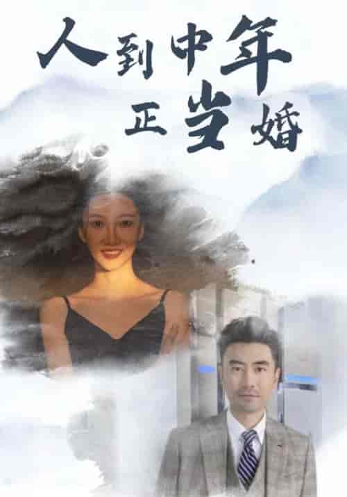 人到中年正当婚（81集全）林祥＆张贤惠-初遇资源网