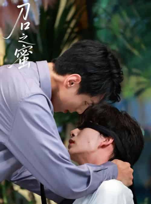 刀口之蜜（46集全）刘晏辰＆王年将成-初遇资源网