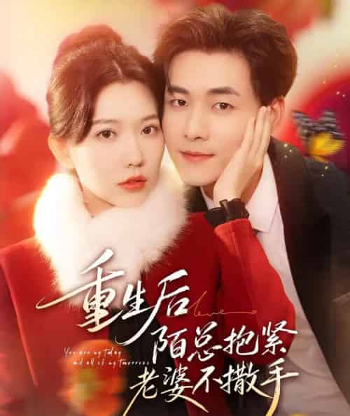 重生后陌总抱紧老婆不撒手(66集全)盛晨&孟佳辉-初遇资源网