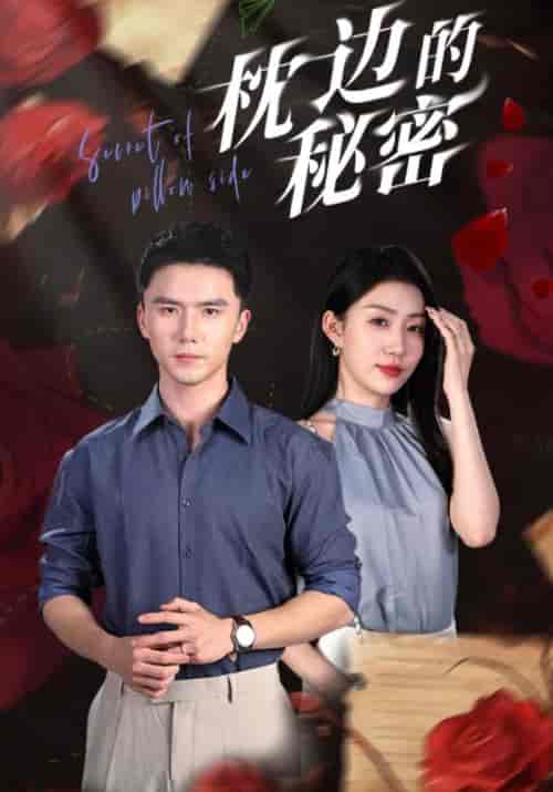 枕边的秘密（64集）-初遇资源网