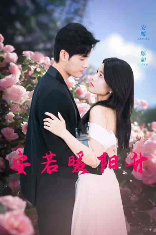 安若暖阳升（40集全）-初遇资源网