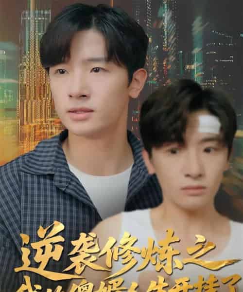 逆袭修炼之我的傻婿人生开挂了(65集全)陈梓龙&刘梦杰-初遇资源网