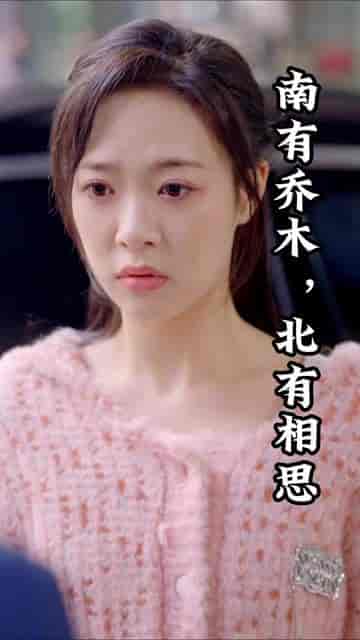 南有乔木，北有相思（爱你千万次）（72集）-初遇资源网