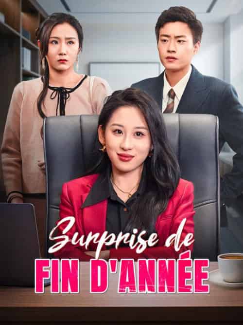 Surprise de Fin d'Année(43集全)Nicole&Sauvage&Henri&Simon-初遇资源网