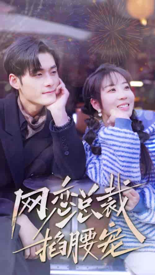 网恋总裁掐腰宠（93集）彭丹丹-初遇资源网