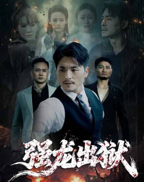 强龙出狱(53集全)王凯&李嫣婷-初遇资源网