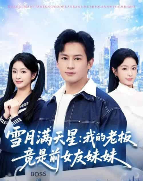 雪月满天星:我的老板竟是前女友妹妹(65集全)彭士腾&林冰冰-初遇资源网