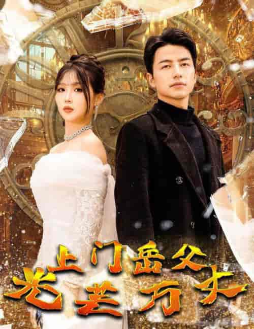 上门岳父光芒万丈（59集全）吴昊-初遇资源网