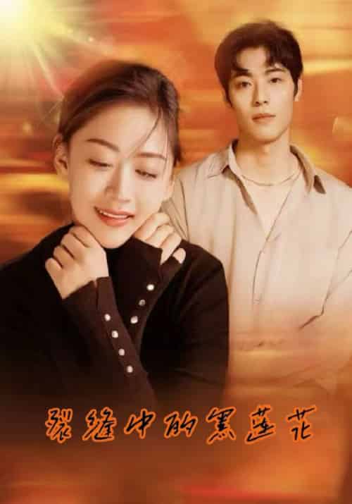 裂缝中的黑莲花(77集全)商陆&于星画-初遇资源网