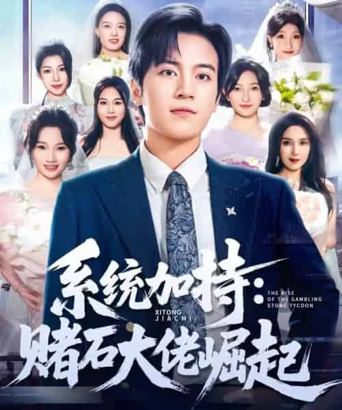 统加持：赌石大佬崛起＆少年赌神：从原石到顶流（77集全）田杨＆李芝桦-初遇资源网