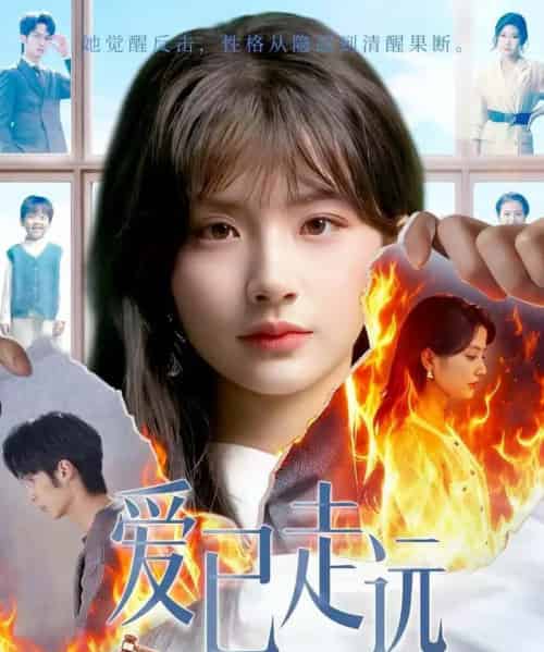 爱已走远（60集全）王浩＆何可人-初遇资源网