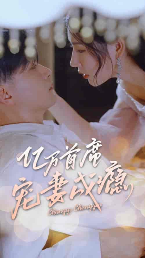 亿万首席宠妻成瘾-初遇资源网