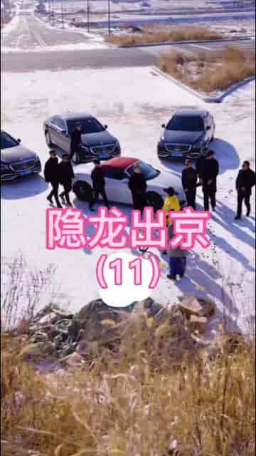 隐龙出京(90集)-初遇资源网