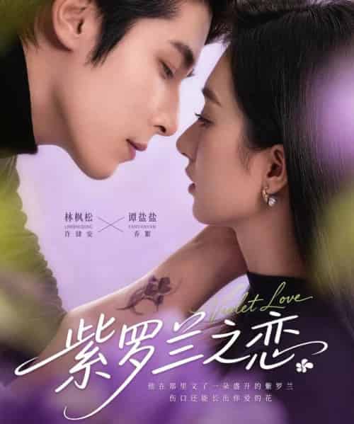 紫罗兰之恋(82集全)谭盐盐&林枫松-初遇资源网