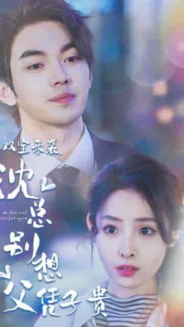 双宝来袭，沈总别想父凭子贵（长篇）-初遇资源网