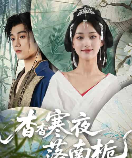 杳杳寒夜落南栀(66集)-初遇资源网