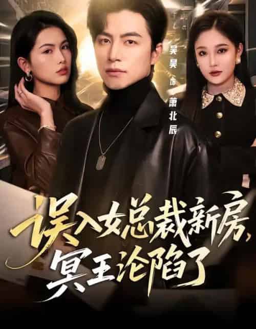 误入女总裁新房,冥王沦陷了(80集全)吴昊&张亚迪-初遇资源网