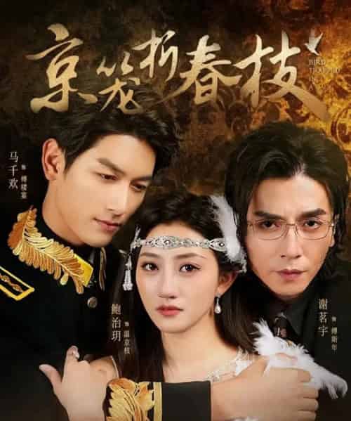 京笼折春枝（79集）鲍治玥＆马千欢＆谢茗宇-初遇资源网